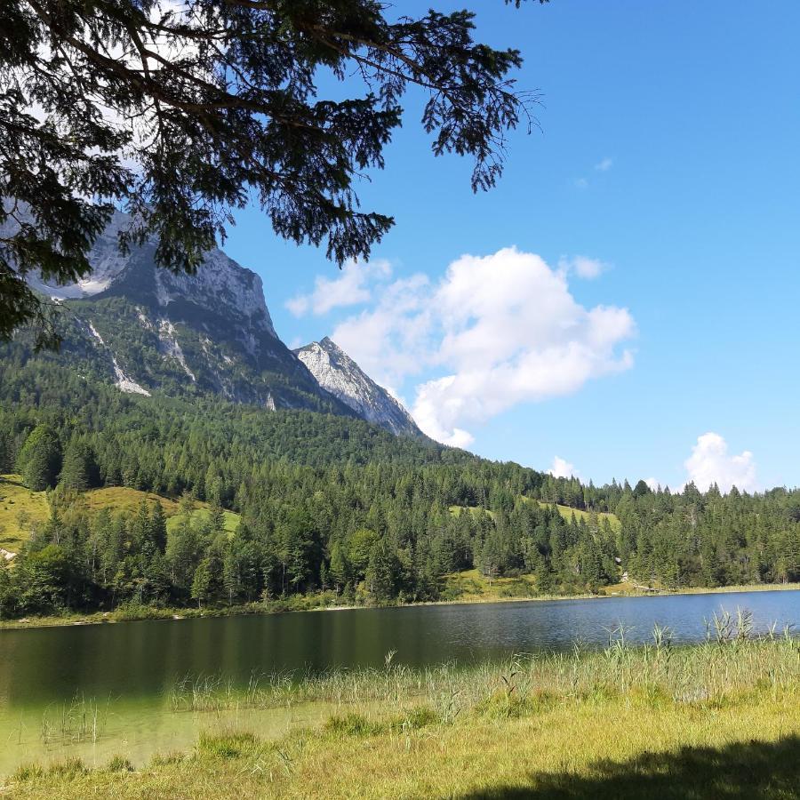 Ferienwohnung Steinhauser Клайс Екстериор снимка